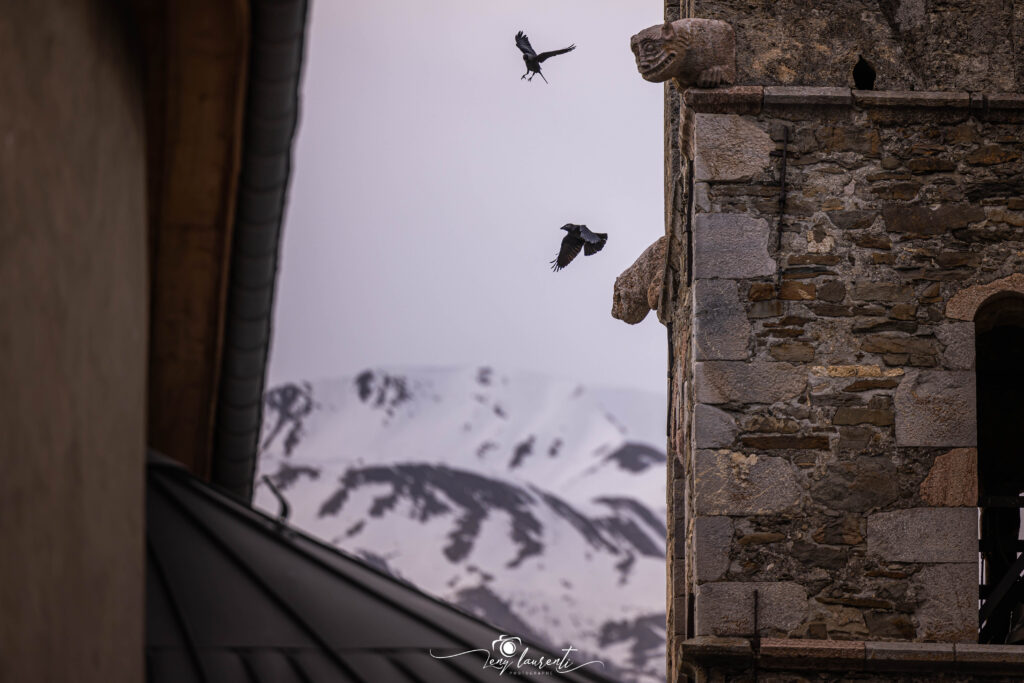photo-paysage