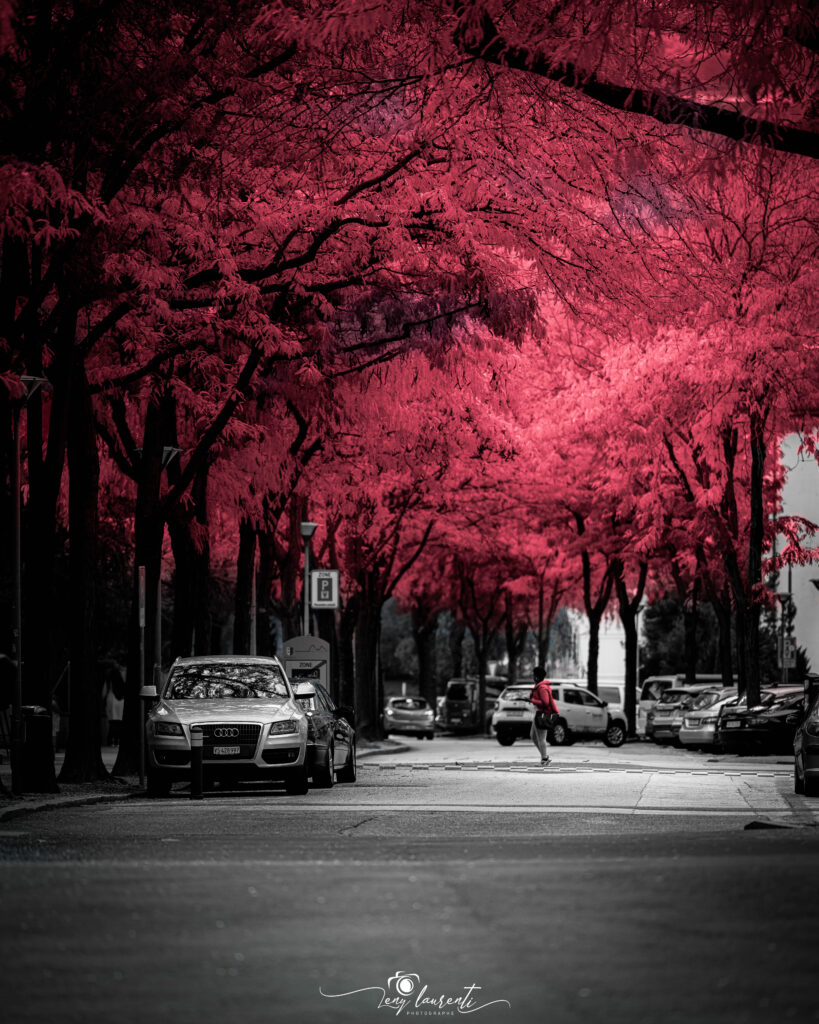 turin